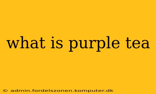 what is purple tea