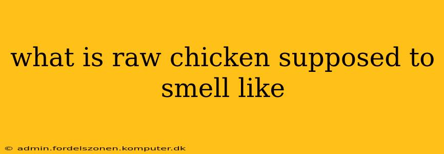 what is raw chicken supposed to smell like