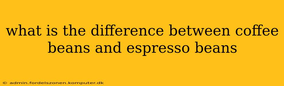 what is the difference between coffee beans and espresso beans