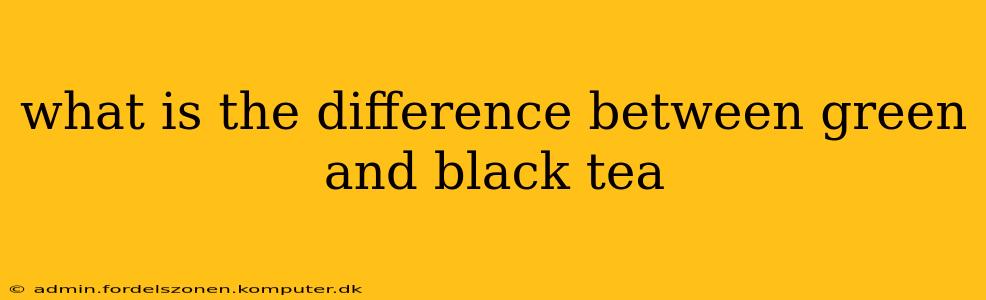 what is the difference between green and black tea