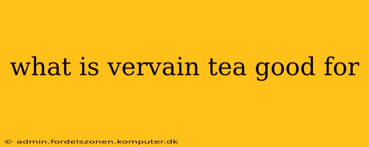 what is vervain tea good for