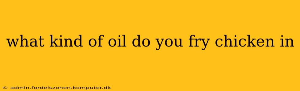 what kind of oil do you fry chicken in