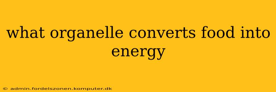 what organelle converts food into energy
