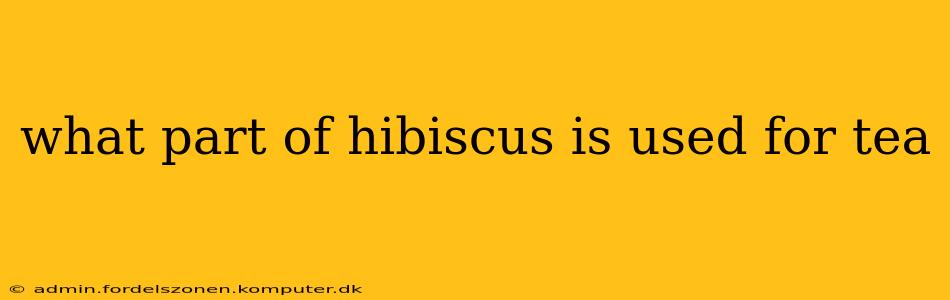 what part of hibiscus is used for tea