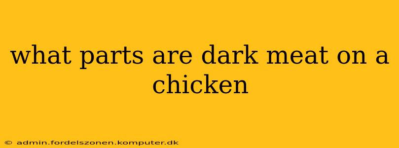 what parts are dark meat on a chicken