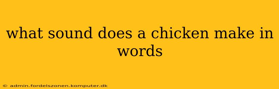 what sound does a chicken make in words