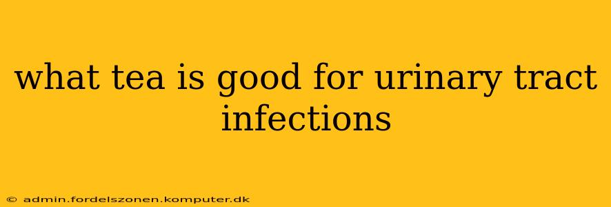 what tea is good for urinary tract infections