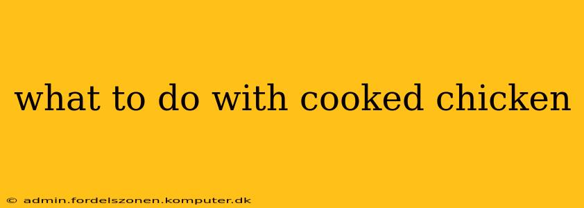 what to do with cooked chicken
