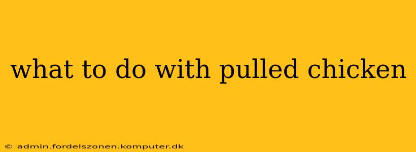 what to do with pulled chicken