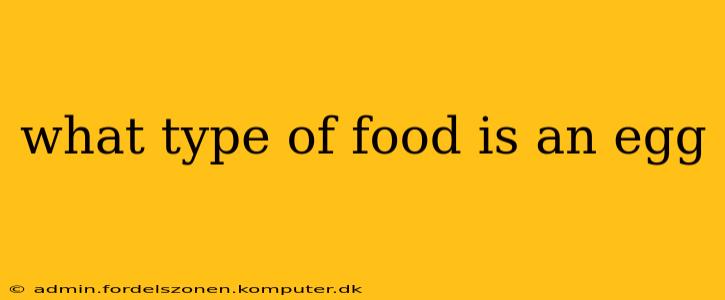 what type of food is an egg