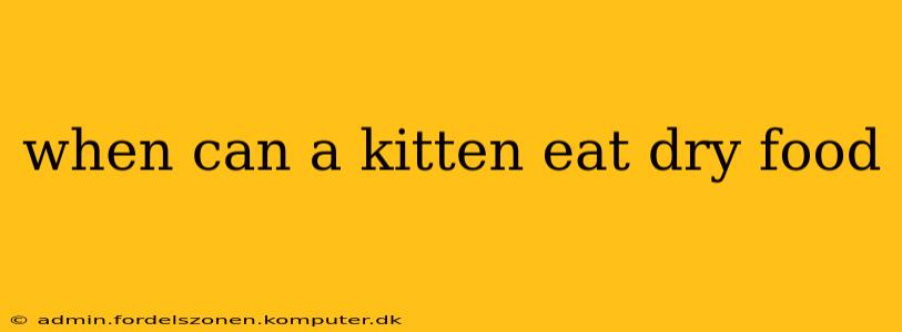 when can a kitten eat dry food