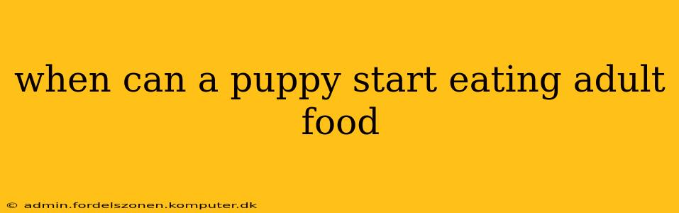 when can a puppy start eating adult food