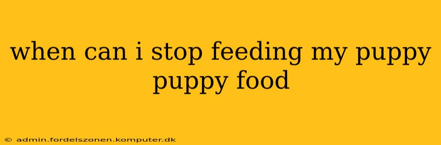 when can i stop feeding my puppy puppy food