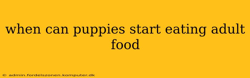 when can puppies start eating adult food