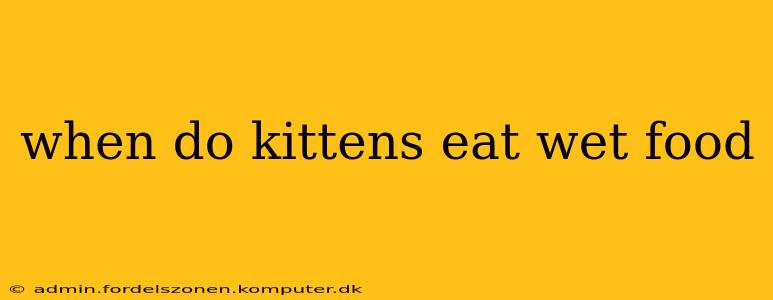 when do kittens eat wet food