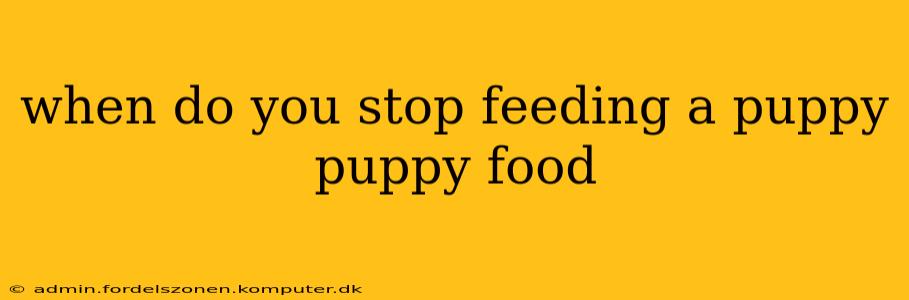 when do you stop feeding a puppy puppy food