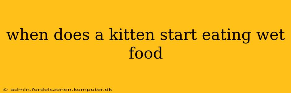 when does a kitten start eating wet food