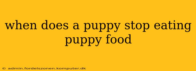 when does a puppy stop eating puppy food