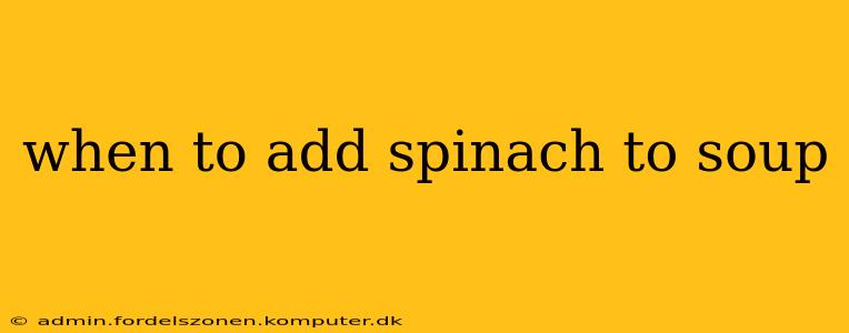 when to add spinach to soup