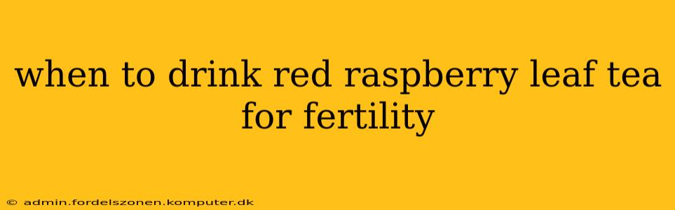 when to drink red raspberry leaf tea for fertility