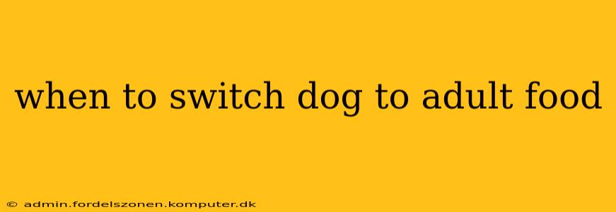 when to switch dog to adult food