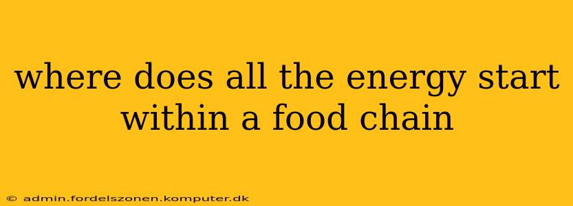 where does all the energy start within a food chain