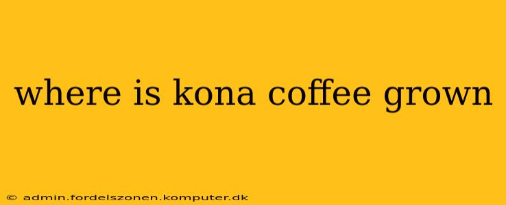 where is kona coffee grown
