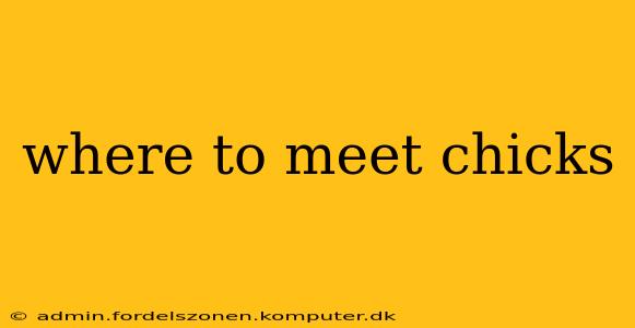 where to meet chicks