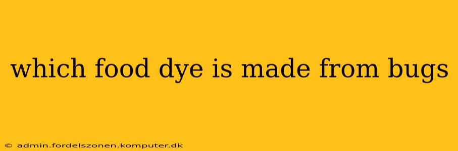 which food dye is made from bugs