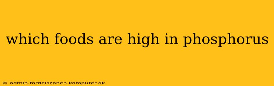 which foods are high in phosphorus