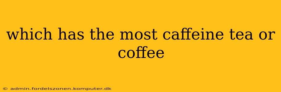 which has the most caffeine tea or coffee