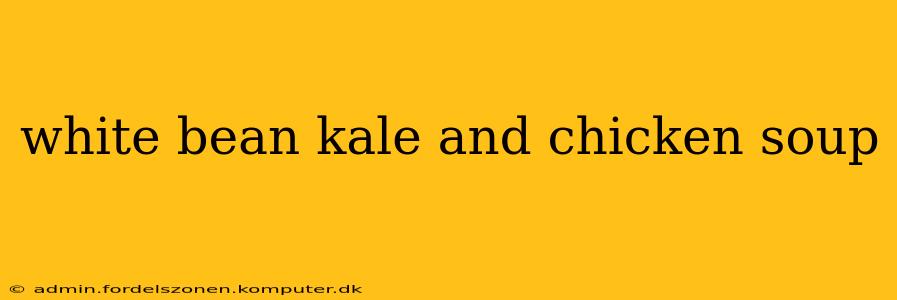white bean kale and chicken soup