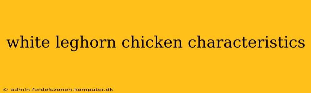 white leghorn chicken characteristics