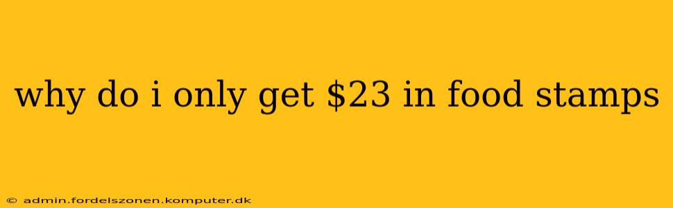 why do i only get $23 in food stamps