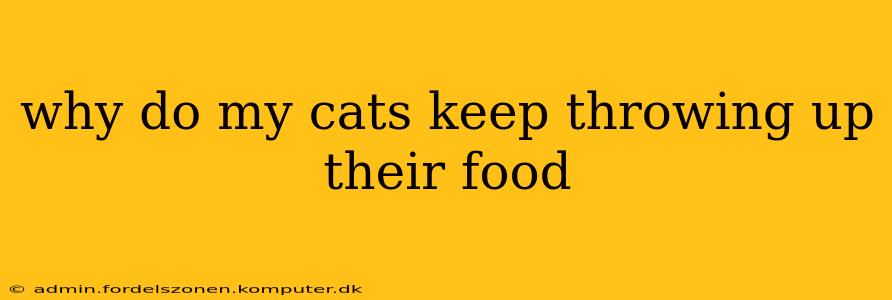 why do my cats keep throwing up their food