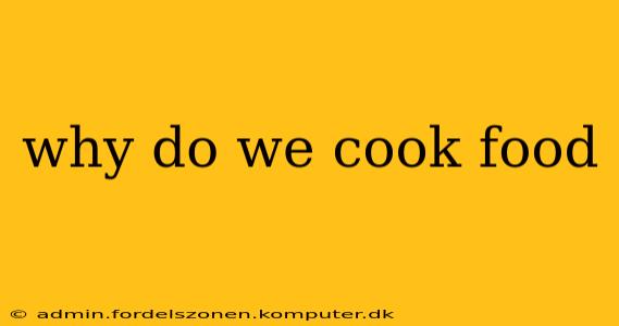 why do we cook food