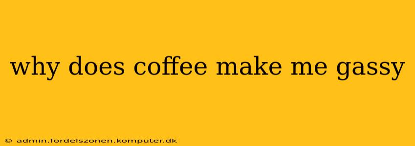 why does coffee make me gassy