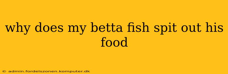 why does my betta fish spit out his food