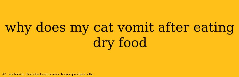 why does my cat vomit after eating dry food