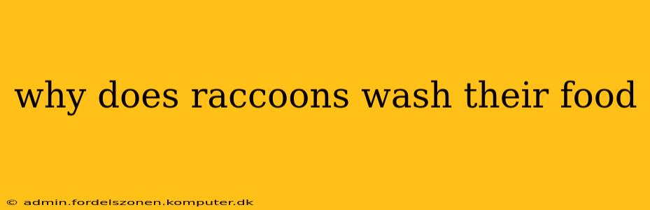 why does raccoons wash their food