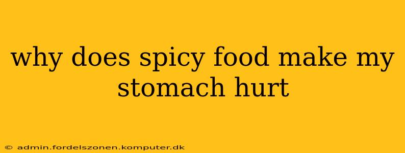 why does spicy food make my stomach hurt