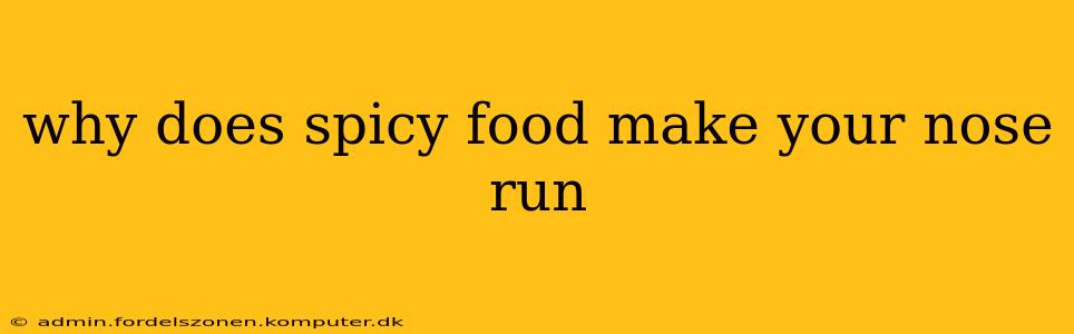why does spicy food make your nose run
