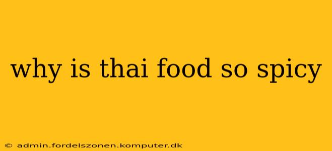 why is thai food so spicy