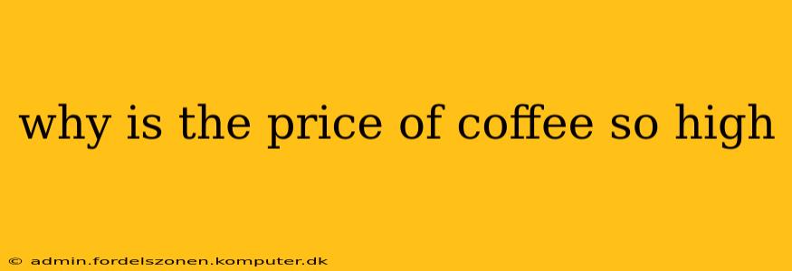 why is the price of coffee so high