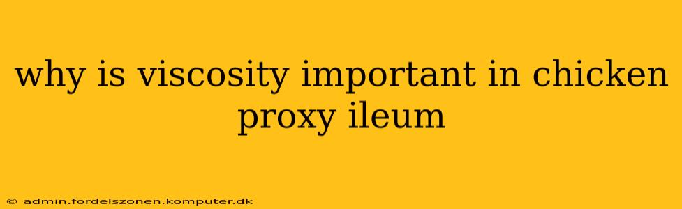 why is viscosity important in chicken proxy ileum