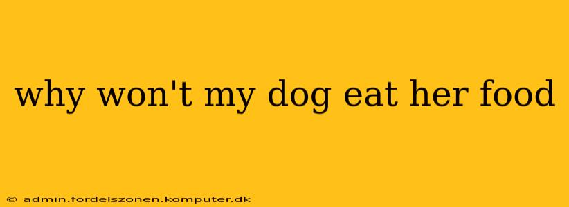 why won't my dog eat her food