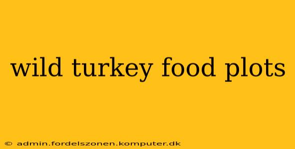 wild turkey food plots