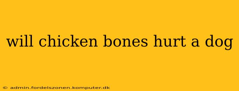 will chicken bones hurt a dog