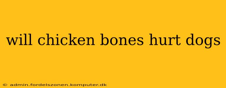 will chicken bones hurt dogs