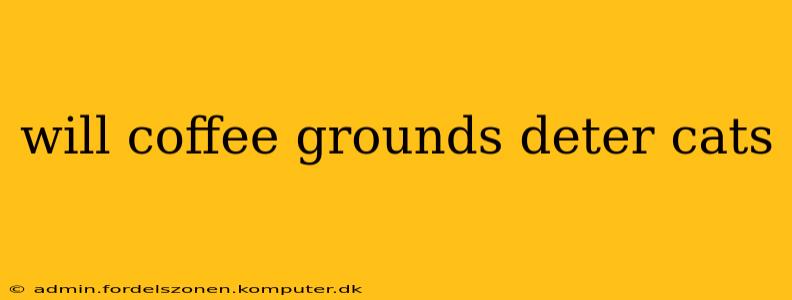 will coffee grounds deter cats